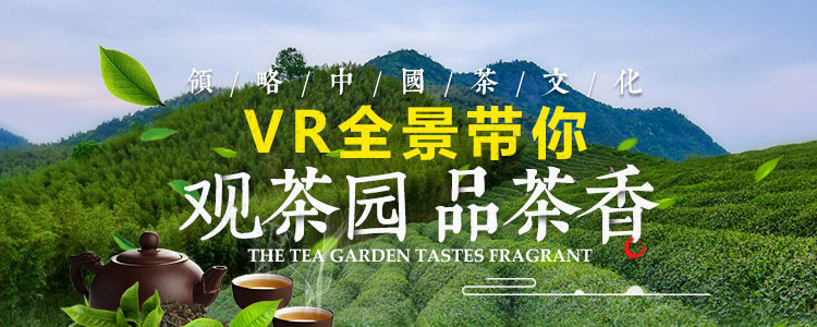 领略中国茶文化 VR全景带你观茶园 品茶香