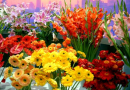 花卉博览会正赶十一国庆　市民可享门票优惠