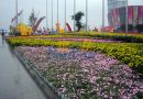 中国花卉博览会在泸举行旅游推介会