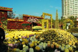 第十一届中国菊花展览会将于9月底启幕