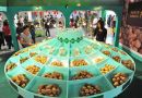 2013青岛绿色食品博览会将于明日开展