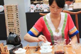 茶企游客齐聚2013天津茶博会