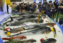 2014中国（北京）国际渔业博览会即将开幕