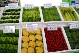 2014第七届中国绿色食品博览会邀您11月相聚南昌共同参展