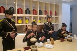第十一届中原国际茶业茶文化博览会即将在郑州隆重举办