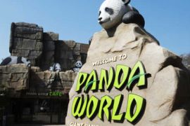 韩国三星VR体验熊猫馆 迎来公众开放日