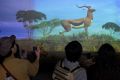 广州动物园打造第一座VR动物园 带来震撼体验