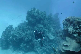 虚拟现实相机Hydrus VR有助于海底电影拍摄