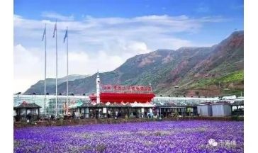 青海千紫缘农业科技博览园全景图