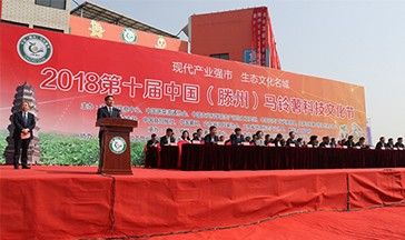 第十一届中国(滕州)马铃薯科技文化节全景图