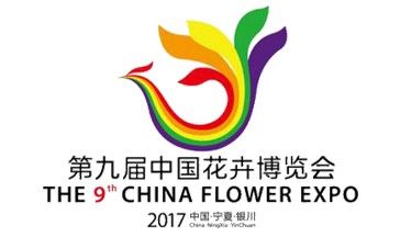 中国花卉博览园—高清VR展示