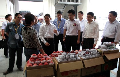 中国-东盟优质水果推介活动