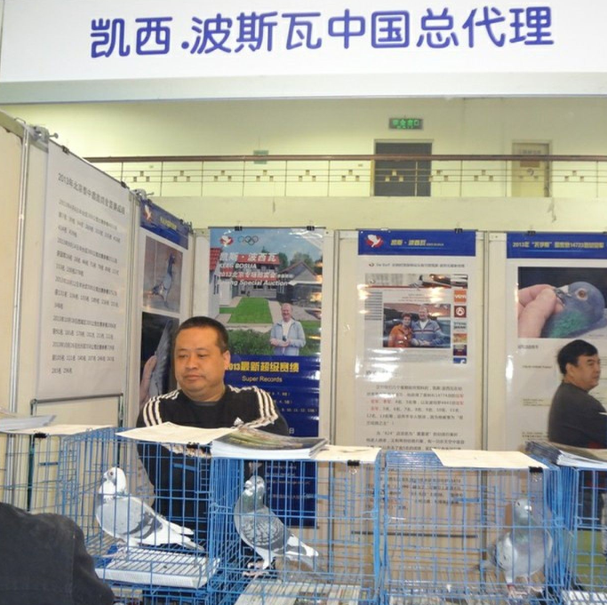 中国郑州国际名鸽展览会