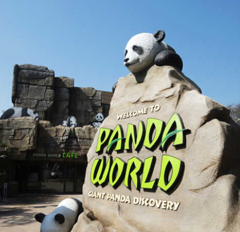 韩国三星VR体验熊猫馆 迎来公众开放日 