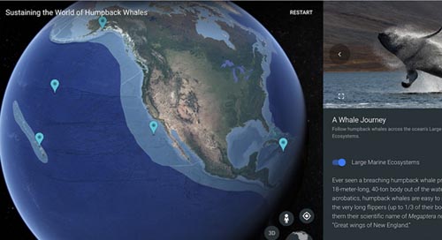谷歌用VR打造航海故事 激励人类保护海洋