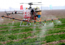 新疆国际农业博览会将举办 无人洒药飞机亮相