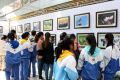 首届文化艺术展览周在双鸭山市宝清县奥体中心拉开帷幕