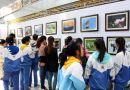 首届文化艺术展览周在双鸭山市宝清县奥体中心拉开帷幕