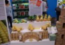 2013青岛绿博会于下月12日在山东国际农产品展示交易中心举办