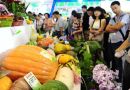 第二届中国山东(济南)国际农产品交易会将举办