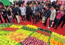 2013中国(海南)国际热带农产品冬季交易会12月开幕