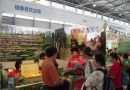 2013中国成都国际都市现代农业博览会12月5日开幕