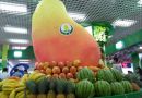 新疆224种农产品亮相2013海南冬交会
