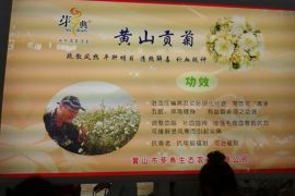 黄山贡菊参加2014北京国际茶业展