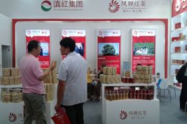 滇红集团亮相2014北京国际茶业展
