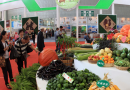 第十一届中国武汉农业博览会于11月盛装启幕
