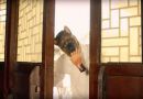 中国首只“VR妖” 乐视VR上线短片《犬妖》
